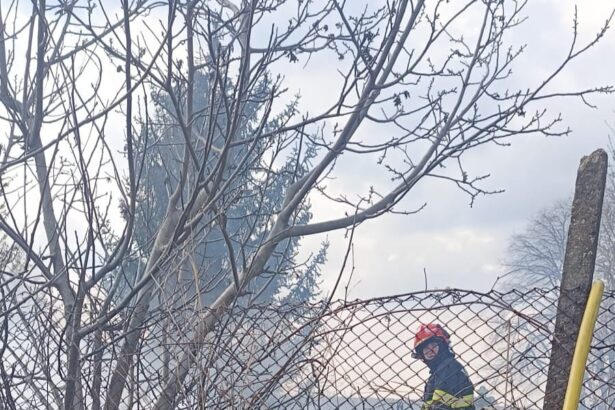 incendiu intr un cimitir din botosani pornit de la o lumanare 69dd0318cd334