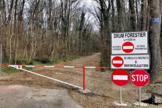 masinile nu mai au voie in padurea baneasa romsilva inchide drumul forestier pentru traficul auto 69dd138543e6b
