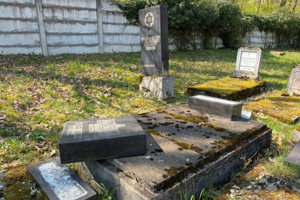 monumente funerare rasturnate in cimitirul evreiesc din reghin politia a deschis dosar penal 69dbd97ee0358