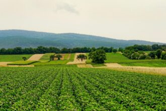nu doar razboiul ar putea provoca o criza alimentara mondiala un fenomen rar se contureaza expertii sunt ingrijorati 69d753a274047