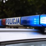 o femeie care a incercat sa ajute un animal ranit pe un pod rutier a fost atacata de un barbat gol 69d377c0ebf2c