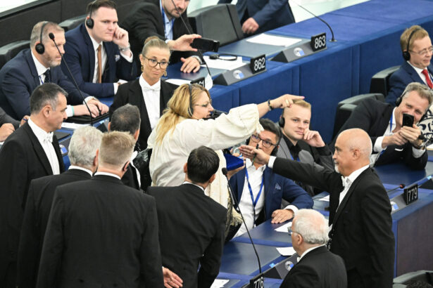 parlamentul european a votat pentru ridicarea imunitatii dianei sosoaca 69f08a93ef98f