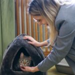 pisica grav abuzata adoptata de ministerul mediului acest gest este despre responsabilitate dar si despre puterea exemplului leia vine cu o poveste grea 69cd28e6950b4