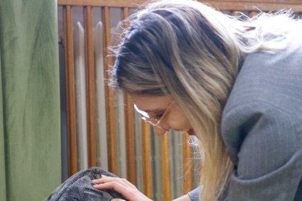 pisica grav abuzata adoptata de ministerul mediului acest gest este despre responsabilitate dar si despre puterea exemplului leia vine cu o poveste grea 69cd28e6950b4