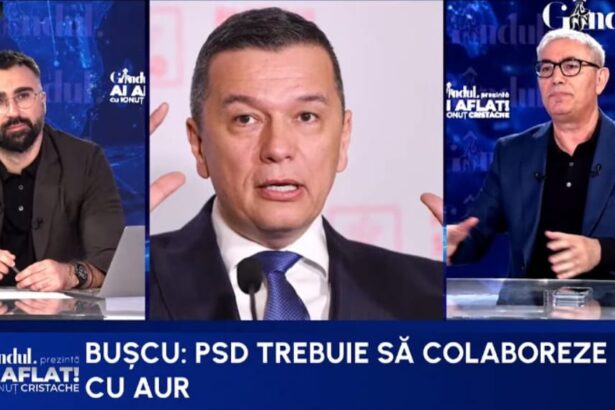 psd ar putea depinde de aur pentru o motiune dupa 20 aprilie buscu aur ar putea cere functia de premier 69e0f206dbac9