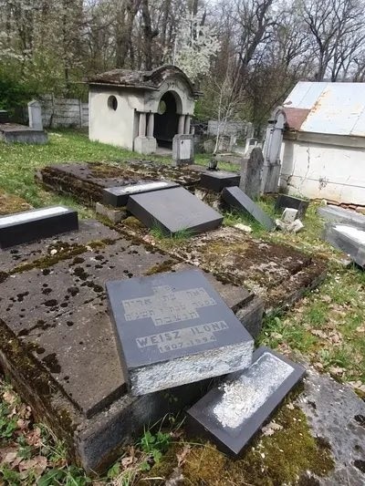 reactia ambasadei israelului dupa profanarea din cimitirul evreiesc din reghin 69df57906fd61