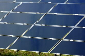 sase barbati din buzau si vrancea arestati preventiv intr un caz de furt dintr un parc fotovoltaic 69d77345a3df9
