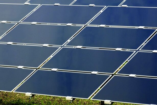 sase barbati din buzau si vrancea arestati preventiv intr un caz de furt dintr un parc fotovoltaic 69d77345a3df9