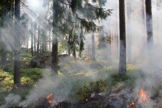 scenariu ingrijorator in cazul unei incalziri globale moderate incendii seceta si furtuna extreme 69cd14f812114