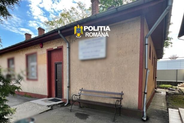 servicii medicale acordate ilegal verificari la centre de plasament si clinici din ilfov care sunt institutiile vizate 69e5ecbfa01f0