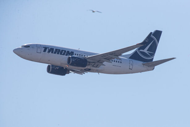 sindicatul tarom anunta protest in piata victoriei si acuza guvernul ca distruge compania tarom trebuie sa existe si sa fie in permanenta o companie a statului roman 69e79629968ec
