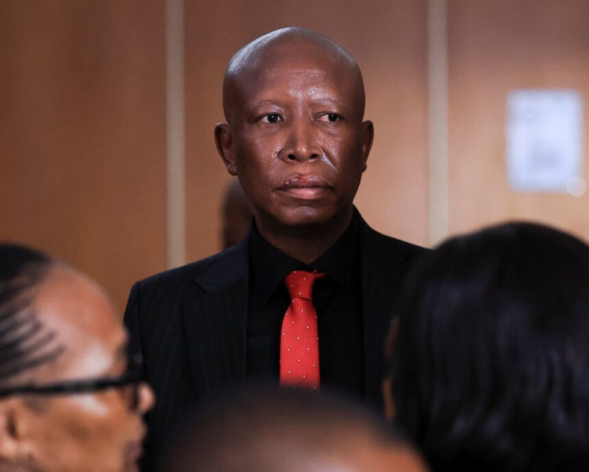 south african politician julius malema given five year jail term for gun offence 69e1e722ece21