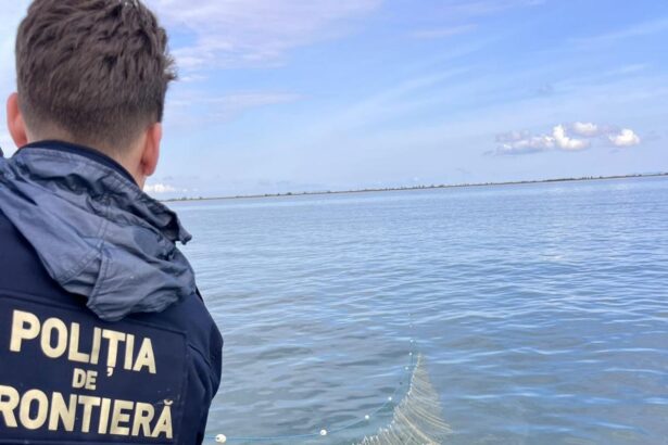 sturioni braconati in marea neagra garda de coasta a gasit plase ilegale de sute de metri 69df566f7e447