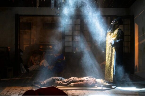 tavan de scena prabusit peste un actor la teatrul national din iasi este al doilea incident de acest fel in cateva luni 69e67ce7e86f9