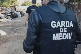 amenzi de aproape un milion de lei date de garda de mediu dupa controale in slobozia s au gasit nereguli privind gestionarea deseurilor periculoase si evacuarea apelor uzate 6a06e70670199