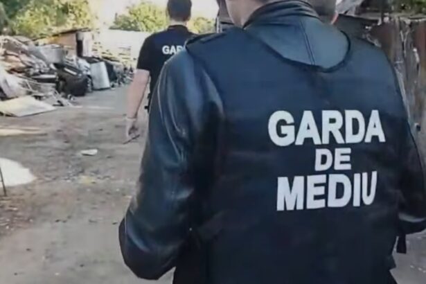 amenzi de aproape un milion de lei date de garda de mediu dupa controale in slobozia s au gasit nereguli privind gestionarea deseurilor periculoase si evacuarea apelor uzate 6a06e70670199