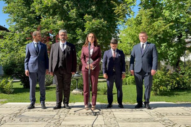 anamaria gavrila dupa consultari vom sustine orice formula pro occidentala 6a0b1f8a1b357