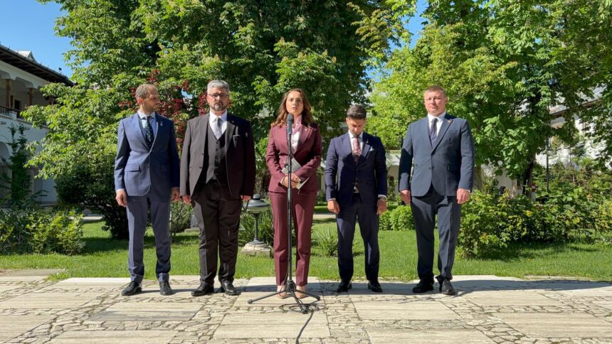 anamaria gavrila dupa consultari vom sustine orice formula pro occidentala 6a0b1f8a1b357