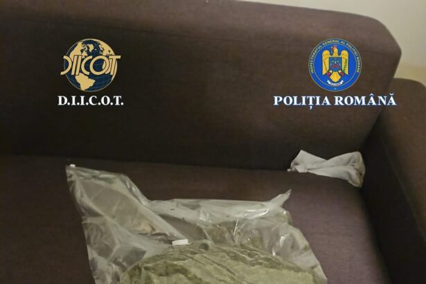 aproape 3 kilograme de canabis descoperite de anchetatori in bistrita nasaud doi tineri au fost arestati preventiv 6a01f1c8cb7ef