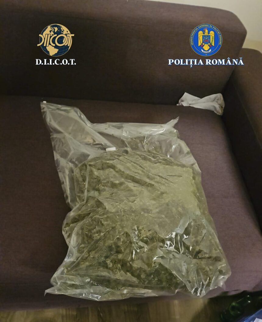 aproape 3 kilograme de canabis descoperite de anchetatori in bistrita nasaud doi tineri au fost arestati preventiv 6a01f1c8cb7ef