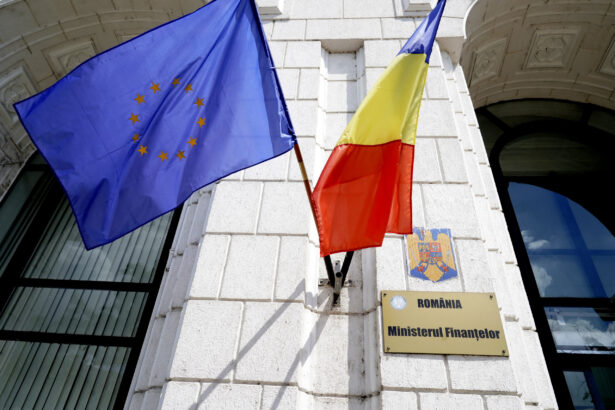 daniel daianu consiliul fiscal ministrul de finante este cerberul finantelor publice daca nu este ascultat trebuie sa si dea demisia 69fdcd8987dbe