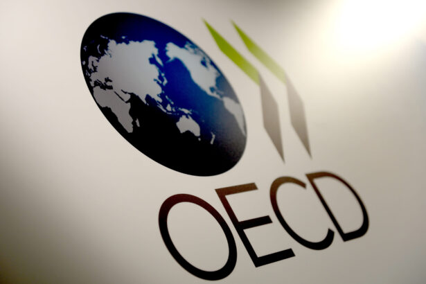 discrepantele sociale dintre copii ii urmaresc toata viata ce arata cel mai mare studiu oecd despre dezvoltarea timpurie 6a01e4eabed75