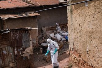 friday briefing what do the cuts in aid mean for the fight against ebola in the drc 6a1957869d9fe