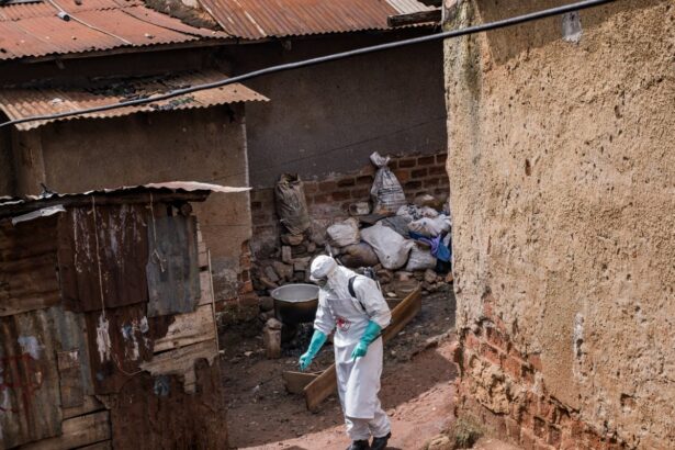 friday briefing what do the cuts in aid mean for the fight against ebola in the drc 6a1957869d9fe
