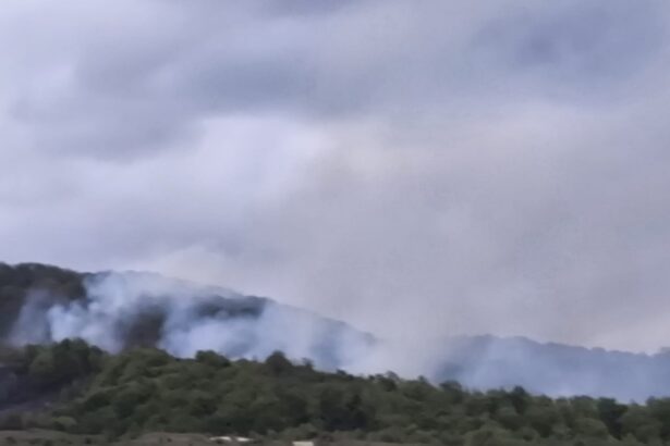 incendiu de vegetatie in caras severin elicopter black hawk trimis sa stinga focarele din slatina timis 69f5ca779cdc4