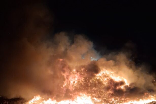 incendiu la groapa de gunoi din oradea peste 20 de pompieri au intervenit 69f905eb94e8e