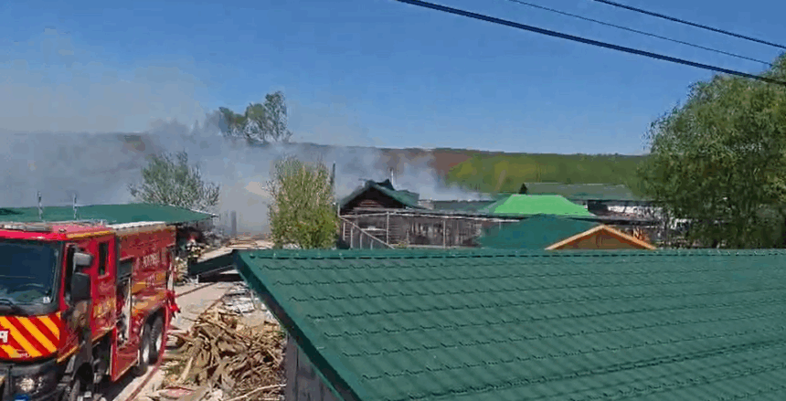 incendiu la o gradina zoologica din suceava animale salvate din flacari doua exemplare au murit 69fb372aa5358