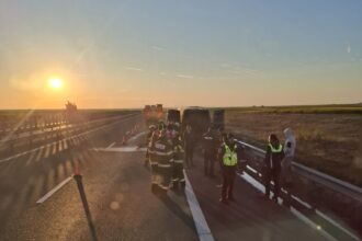 incendiu pe autostrada a1 in apropiere de pecica o autoutilitara a ars in aceasta dimineata 69f700f7ebf49