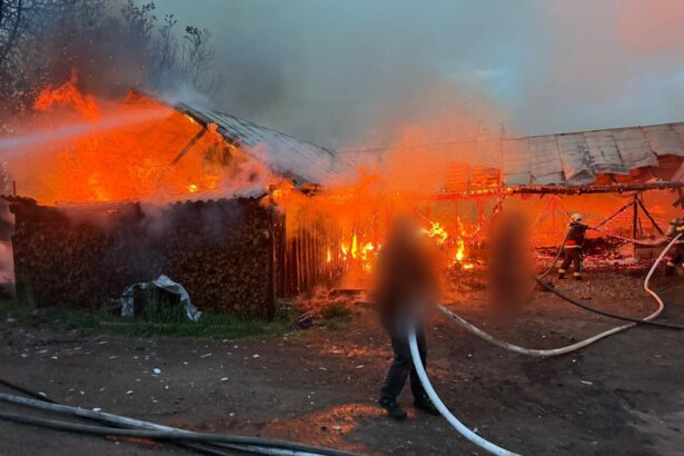 incendiu puternic la doua adaposturi de animale din fratautii vechi echipajele intervin pentru stingerea focului 69fcd981111b2