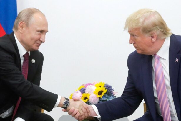 negocieri secrete intre sua si rusia de ce vor americanii ca razboiul din ucraina sa se opreasca temporar 6a03267dd91fd