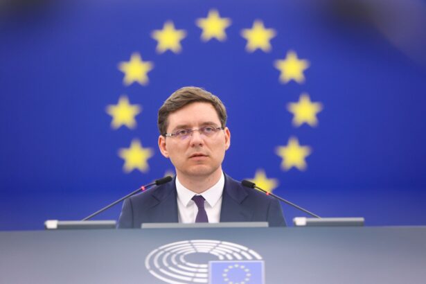 negrescu dupa drona prabusita la galati am solicitat ca acest grav incident sa fie inclus pe agenda dezbaterilor parlamentului european 6a19343189e95