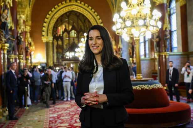 noul sef al diplomatiei maghiare ungaria nu va mai folosi dreptul de veto in ue pentru santaj politic 6a01c2073a9d5