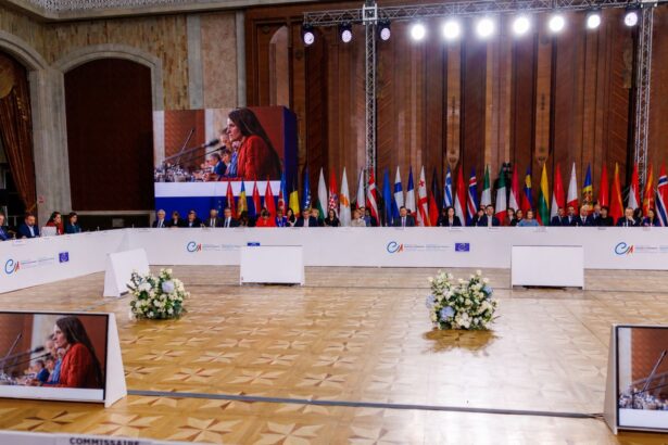 oana toiu a coprezidat masa rotunda europeana pentru combaterea ingerintelor straine in alegeri 6a0745fb89f09