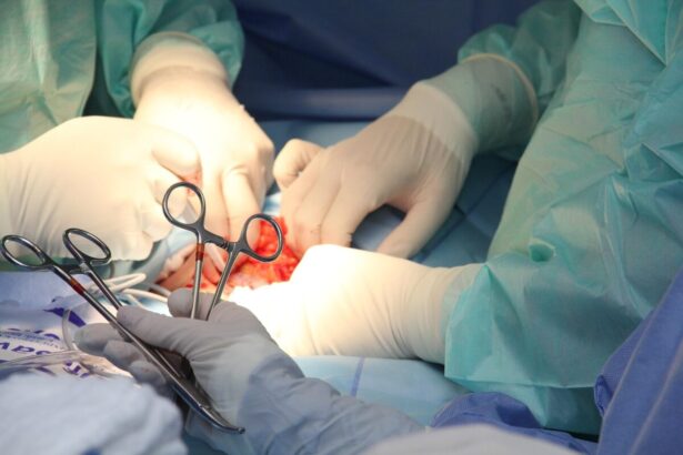 patru prelevari de organe si 12 transplanturi facute in ultimele doua zile 69fc577175cbe