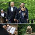 presedintele poloniei a adoptat un urs in timpul vizitei in romania pentru summitul b9 faceti cunostinta cu batyr 6a064eb39ca4f