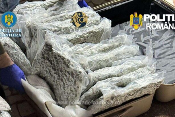 tanar cu dubla cetatenie retinut dupa ce a fost prins cu 11 kilograme de canabis drogurile urmau sa fie vandute pe litoral 69f4ab5d9d6cb