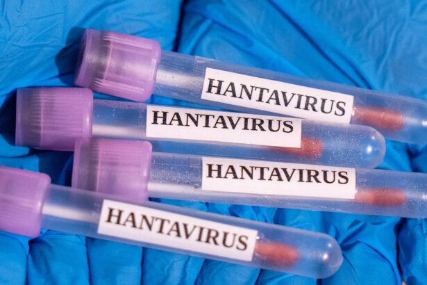 un american de pe nava mv hondius depistat usor pozitiv la testul pcr pentru tulpina andes a hantavirusului 6a01446ae5f0c