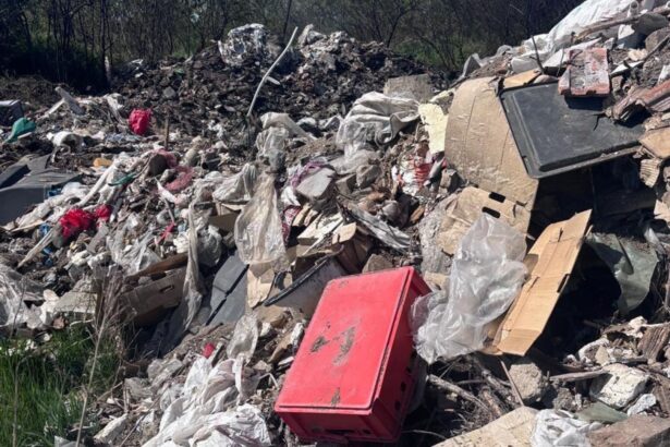 un aradean s a ales cu o amenda de 30 000 de lei pentru ca a abandonat gunoi intr un loc nepermis 69f47c84f22f7