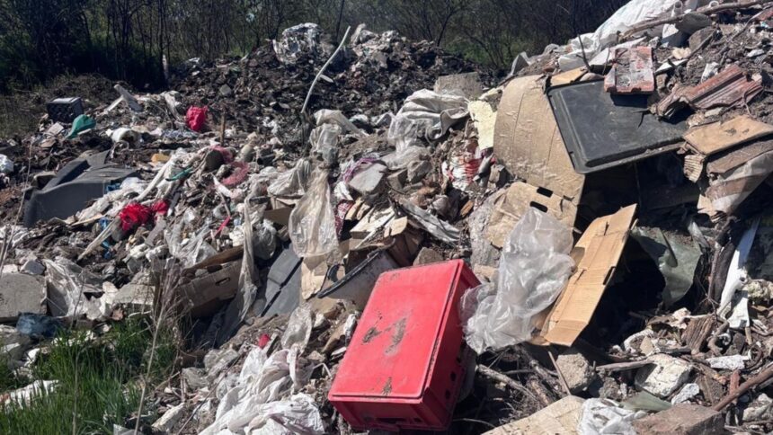 un aradean s a ales cu o amenda de 30 000 de lei pentru ca a abandonat gunoi intr un loc nepermis 69f47c84f22f7
