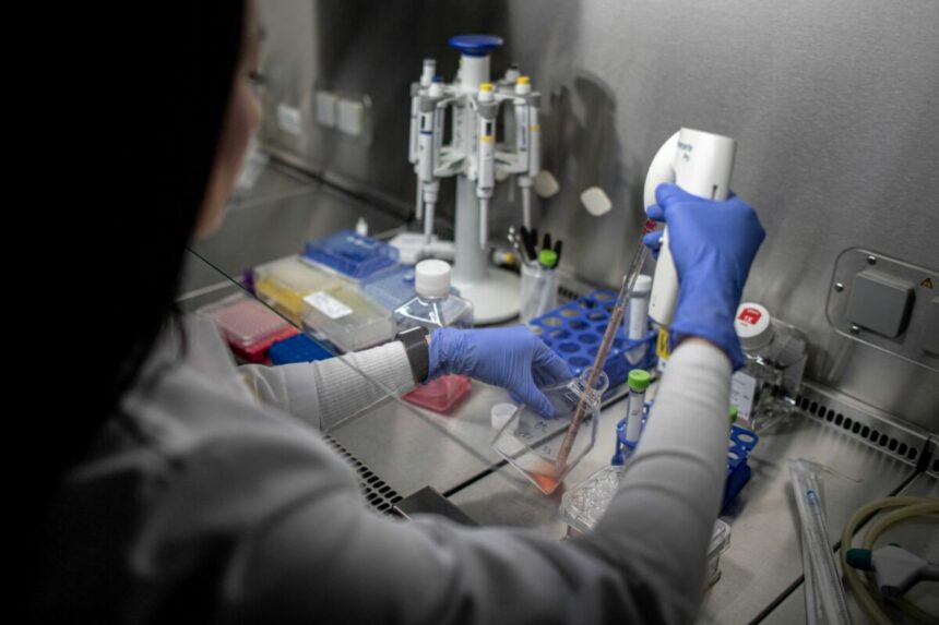 un nou medicament impotriva cancerului pancreatic supravietuirea pacientilor aproape s a dublat 6a17d5b9ab4d0