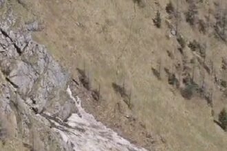 un turist bulgar a cazut 40 de metri intr o prapastie pe valea caraimanului era pe un traseu inchis 6a0b1603e219a