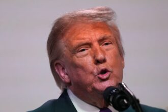 us government plans to increase number of white south africans it admits as refugees 6a0c287594a70