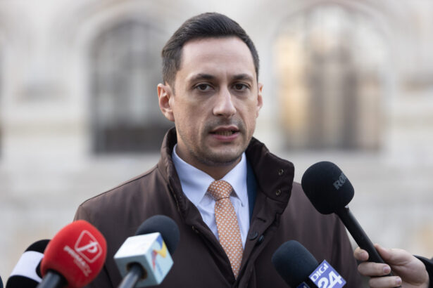 vlad gheorghe despre datele ins cei care au produs acest dezastru economic sa fi ramas la masa 6a0433c808ddf