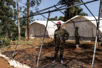 who chief calls for drc ceasefire to tackle ebola outbreak 6a1731debba7b