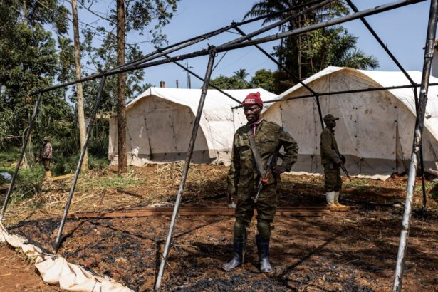 who chief calls for drc ceasefire to tackle ebola outbreak 6a1731debba7b