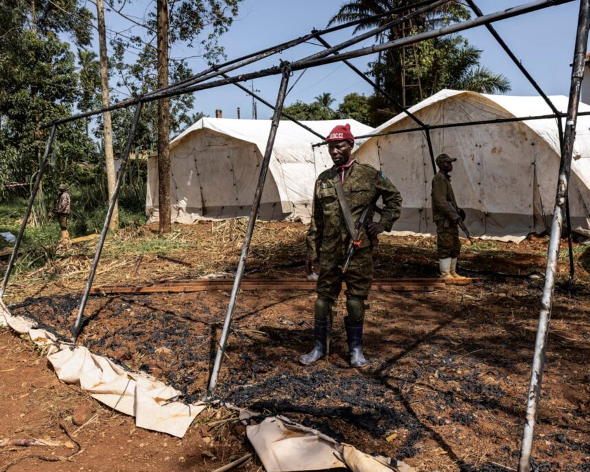 who chief calls for drc ceasefire to tackle ebola outbreak 6a1731debba7b